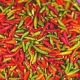 GTA-Caterer_The-Biggest-Food-Trends-For