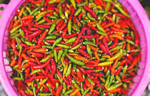 GTA-Caterer_The-Biggest-Food-Trends-For